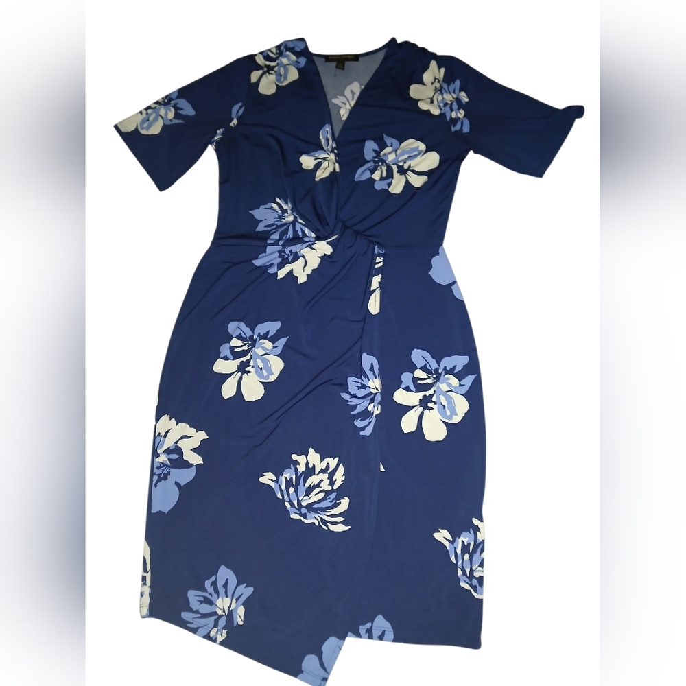Banana Republic Floral Blue Dress